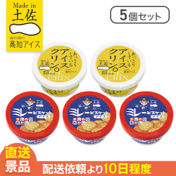 【5個セット】高知のおやつアイス※賞味期限: