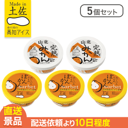 【5個セット】みかんシャーベット※賞味期限: