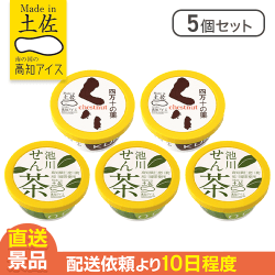 【5個セット】高知の隠れ名産アイス