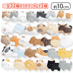 【ランダム】つぶらな瞳の犬と猫