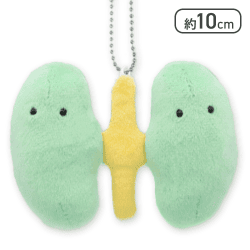 【じんぞう】FANS ボールチェーン付きにんげんのからだぬいぐるみ Part2