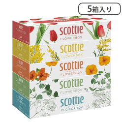 スコッティティシュー フラワーボックス250組5箱パック