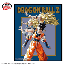【悟空・悟飯・ゴテンクス】ドラゴンボール超 アートプレートvol.2