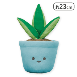 【サンスベリア】FANS 観葉植物ぬいぐるみBIG