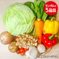 旬の野菜セット：直送