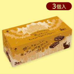 【キャラメルマキアート】世にもおいしいチョコブラウニーBOX※賞味期限:2025/04/19