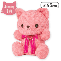 【1月】Happy Birthcolor Cat Roseboa BIG vol.1