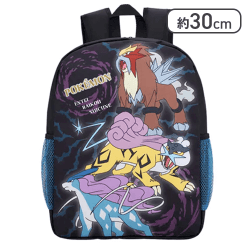 【エンテイ＆ライコウ＆スイクン】ポケットモンスター プラチナムザッカサイドメッシュポケットリュック