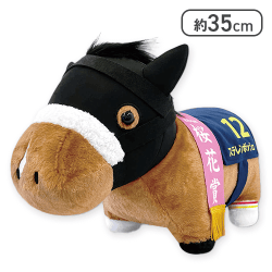 サラブレッドコレクションふわふわBIG(ステレンボッシュ)