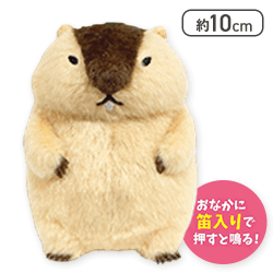 【はまもと】マーモットのもっとっとLMC