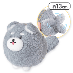 【シュナウザー】しっぽぶんぶん! わんわんず