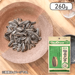洽洽　ひまわりの種(ココナッツ味)※賞味期限:2025/10/24