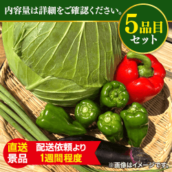 今日は中華だ！炒め物野菜セット