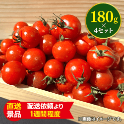 大量！ミニトマトセット：直送