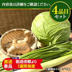 野菜餃子用　野菜セット：直送