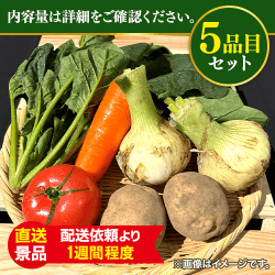 野菜沢山カレーセット（野菜のみ）：直送