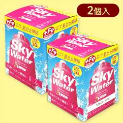 【2個入】10Lスカイウォーターライチ箱※賞味期限:2026/08/31