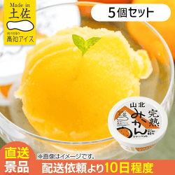 【5個入】山北みかんシャーベット：直送