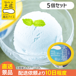 【5個入】天日塩ジェラート：直送
