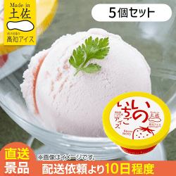 【5個入】いのいちごアイス：直送
