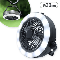 ファン＆ライト