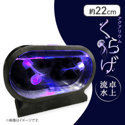 アクアリウムくらげ卓上流水