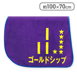 【ゴールドシップ】サラブレッドコレクショントレーニングゼッケンバスタオル