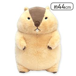 【はまもと】マーモットのもっとっとウルトラBIG