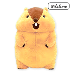 【アー太郎】マーモットのもっとっとウルトラBIG