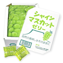 シャインマスカットゼリーBOXパウチ※賞味期限:2026/02/14