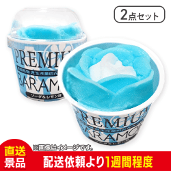 【2個セット】 【ソーダ&レモン】 児玉冷菓のババヘラアイスバラ盛りカップ 