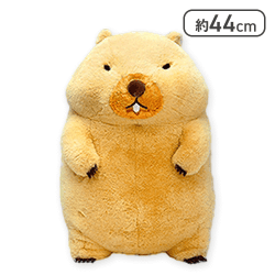 【ボバくん】マーモットのもっとっとモアウルトラBIG