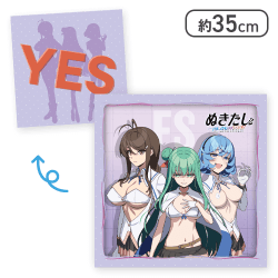 【集合】ぬきたし THE ANIMATION プラチナムザッカクッションVol.3