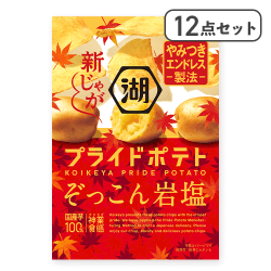 【12点セット】プライドポテト ぞっこん岩塩※賞味期限:2026/01/31