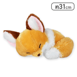 【きなこ】ちょコンとキツネくるんとおねむJB