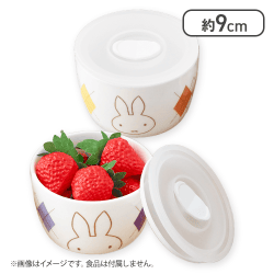 【オレンジ＆パープル】ミッフィー フードストッカーセット アーガイルver.