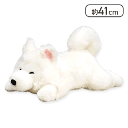 【もふくん(目閉じ)】くったりサモエドくんねそべりJB