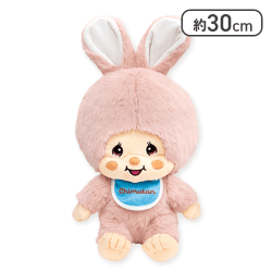 【チムたん】モンチッチちゃん＆チムたん ぬいぐるみ