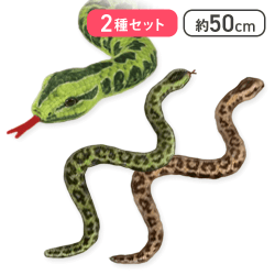 【グリーン＆ブラウン】どくへびギャングス