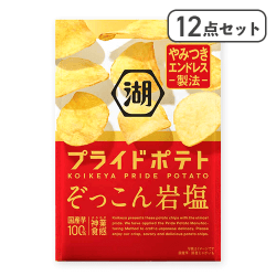 【12点セット】湖池屋プライドポテト ぞっこん岩塩※賞味期限:2026/04/30