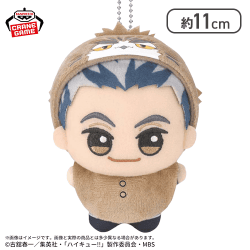 【木兎光太郎】ハイキュー!! ちびぐるみ〜アニマルポンチョ〜vol.1