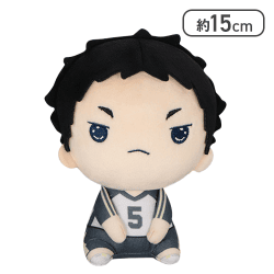 【赤葦 京治】ハイキュー!! もちぴこぬいぐるみ7