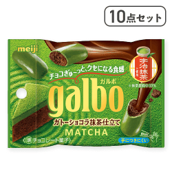 【10点セット】ガルボガトーショコラ抹茶仕立てポケットパック※賞味期限:2026/02/28