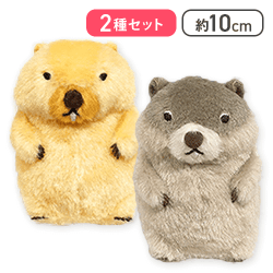 【ボバくん＆チャンキー】マーモットのもっとっとモアLMC