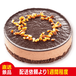 ベルギー産チョコムース4号:直送