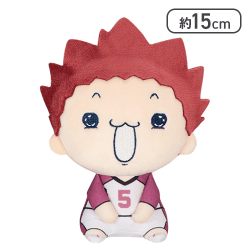 【天童覚】ハイキュー!! もちぴこぬいぐるみ8