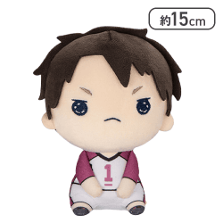 【牛島若利】ハイキュー!! もちぴこぬいぐるみ8