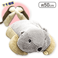 【プク】Dr.マーモットまもちおもプクのぺたーん&マモ相撲XL