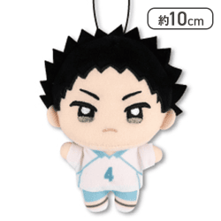 【岩泉一】ハイキュー!!　ぬいぷりけmini2