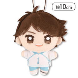 【及川徹】ハイキュー!!　ぬいぷりけmini2